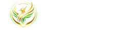 PlayXtram